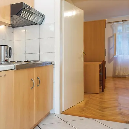 1 Bedroom Cozy In ロクヴァ・ロゴズニツァ
